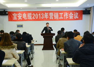 寶安電纜2013年?duì)I銷工作會(huì)議隆重召開(圖1)