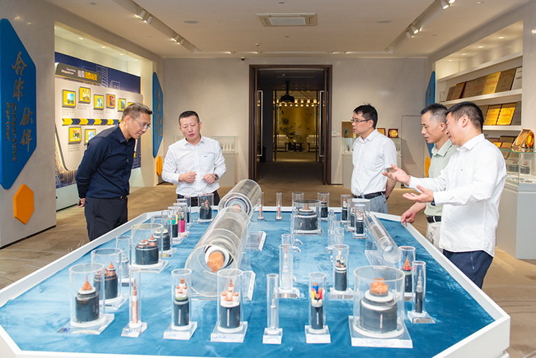 宜興市工信局局長李長青蒞臨寶安電纜指導工作