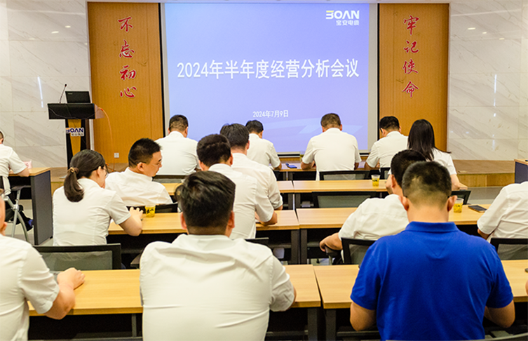 江蘇寶安控股集團召開2024年半年度經(jīng)營分析會議