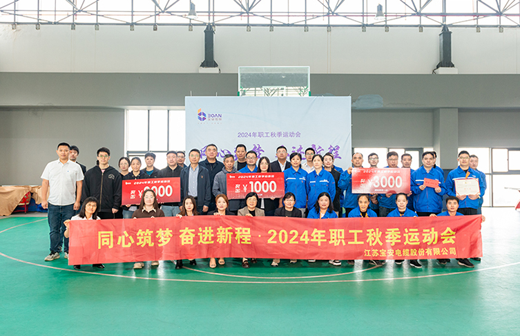 同心筑夢 奮進(jìn)新程——寶安控股2024年職工秋季運(yùn)動會圓滿舉辦