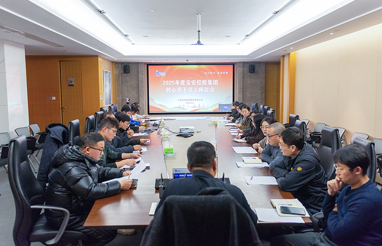 凝心聚力 破局創(chuàng)新——江蘇寶安控股集團召開2025年度核心骨干員工座談會