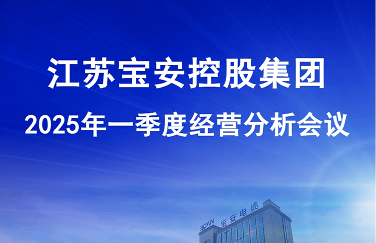 江蘇寶安控股集團2025年一季度經(jīng)營分析會議圓滿召開
